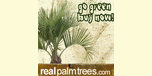 Real Palm Trees Coupons