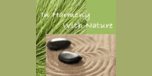Shop with Inharmonywithnature.com Coupons