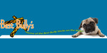 Shop with Best Bully Sticks Coupons Best Bully Sticks Coupons
