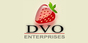Dvo.com Coupons