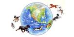 Shop with Globaldognaturalpetproducts.com Coupons