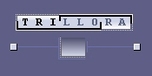 Shop with Trillora.com Coupons