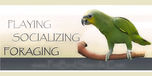 Shop with Petbirdstands.com Coupons
