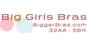 Bigger Bras Coupons