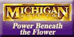 Shop with Michigan Bulb Coupons