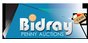Bidray.com Coupons