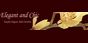 Elegantandchic.com Coupons