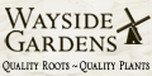 Shop with Wayside Gardens Coupons