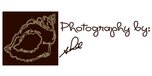 Shop with Shell4art.zenfolio.com Coupons Shell4art.zenfolio.com Coupons