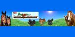 Shop with Saddleonline.com Coupons