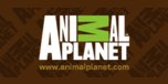 Animalplanetstore.com Coupons