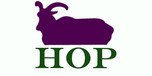 Shop with HomeOfPashmina.com Coupons HomeOfPashmina.com Coupons