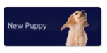 Shop with Suburbandoghouse.com Coupons