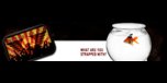 Shop with Factorybrand.com Coupons