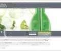 BacktoBasics.com Coupons