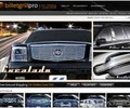 Billetgrillpro.com Coupons