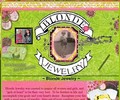 Shop with Blondejewelry.com Coupons