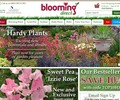 Bloomingdirect.com Coupons