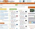 Cheapstingybargains.com Coupons