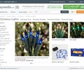 Christmaslights.com Coupons