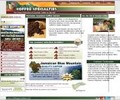 Coffeespecialties.com Coupons