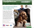 Cozymyphoto.com Coupons