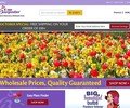 Dutchbulbs.com Coupons