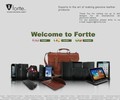Fortte.com Coupons