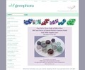 Gemphora.com Coupons