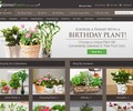 Givingplants.com Coupons