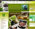 Greentreecoffee.com Coupons