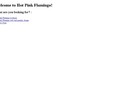 Hotpinkflamingo.net Coupons