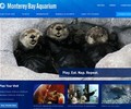 Shop with Mbayaq.org Coupons