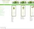 Mulberry-health.com Coupons