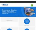 Netzbiz.com Coupons