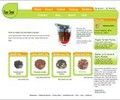 Psteas.com Coupons