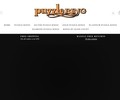 Puzzlering.com Coupons