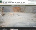 Roots.com Coupons