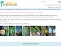 Seedman.com Coupons