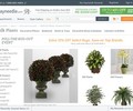Silkpalms.com Coupons