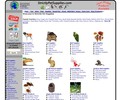 Shop with Strictlypetsupplies.com Coupons