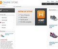 Tinysoles.com Coupons