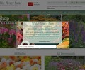 White Flower Farm Coupons