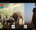 Wildlifeworks.com Coupons