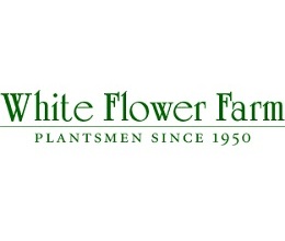 Discount coupons for really good stuff